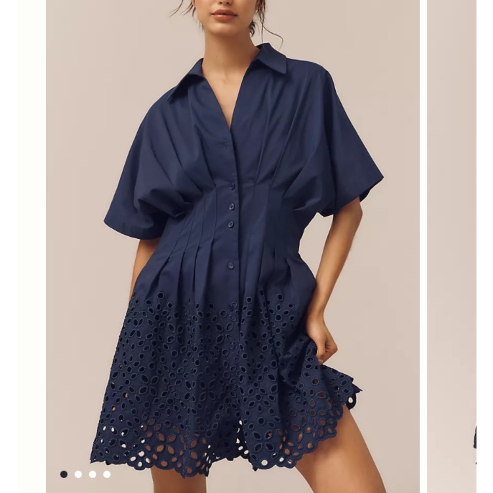 Anthropologie the tobie button-front pleated mini dress by exquise